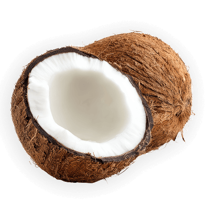 Coconut