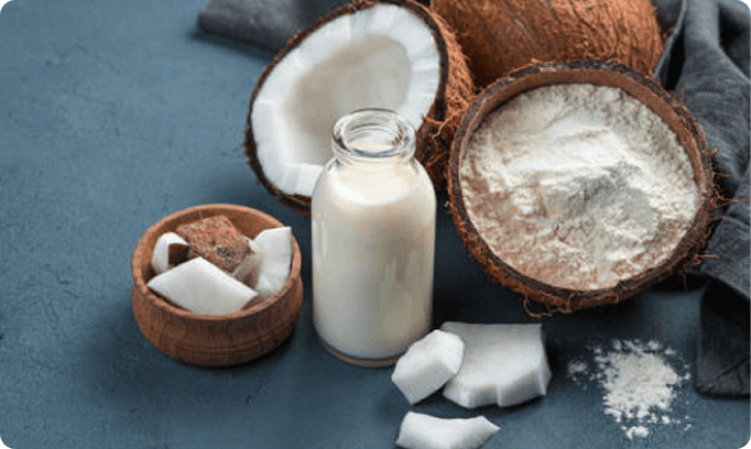Organic Coconut Milk Powder