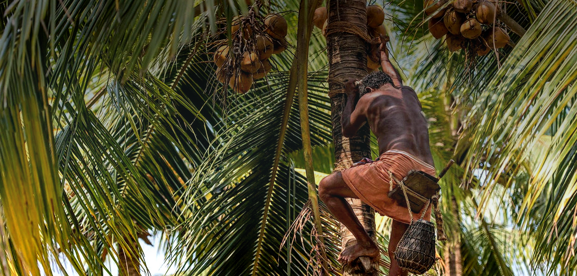 Natural Coconut Product