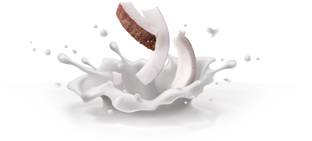 Coconut Splash