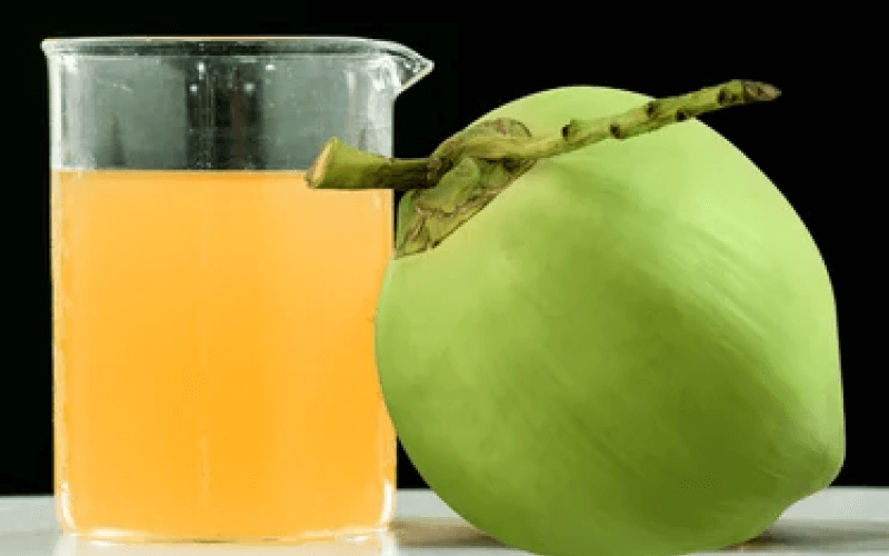 Manufacturing Facility 2