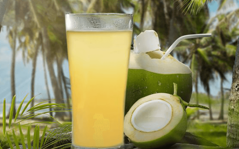 Manufacturing Facility 3