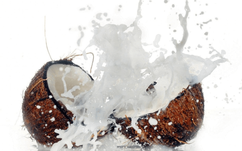 Manufacturing Facility 5